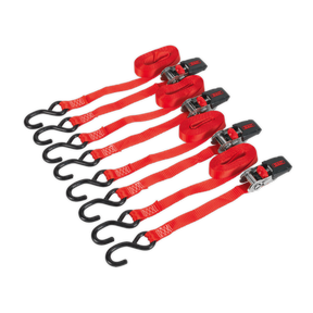 Sealey TD484SD Ratchet Strap Polyester Webbing with S-Hooks 25mm x 4m 800kg Breaking Strength - 2 Pairs