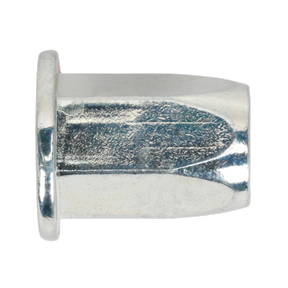 Sealey TIFHM6 Full Hex Threaded Insert (Rivet Nut) M6 Standard Flange - Pack of 50