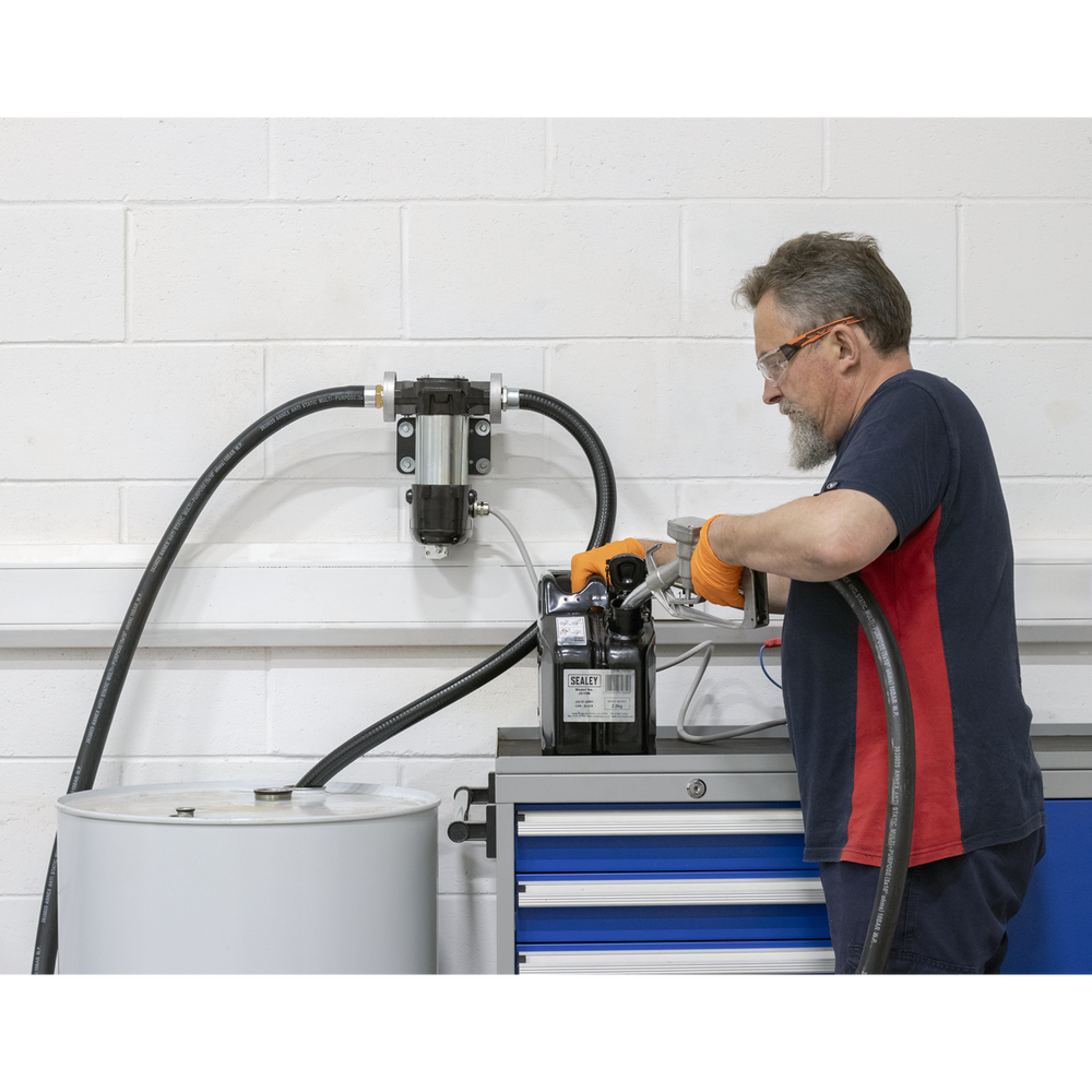Sealey TP98 High Volume Diesel & Fluid Transfer Pump 12V - additional view 7