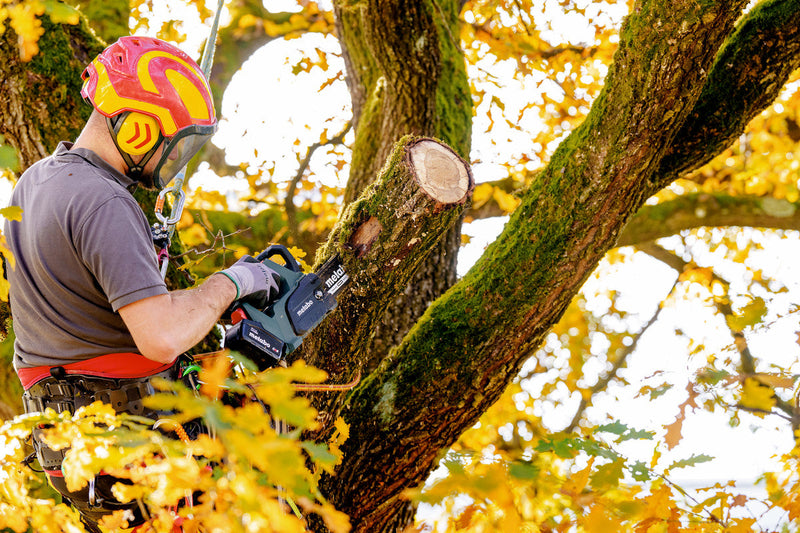 Metabo MS 18 LTX BL 25 (601595850) 18V Brushless Cordless Chain Saw - Body Only product image 6