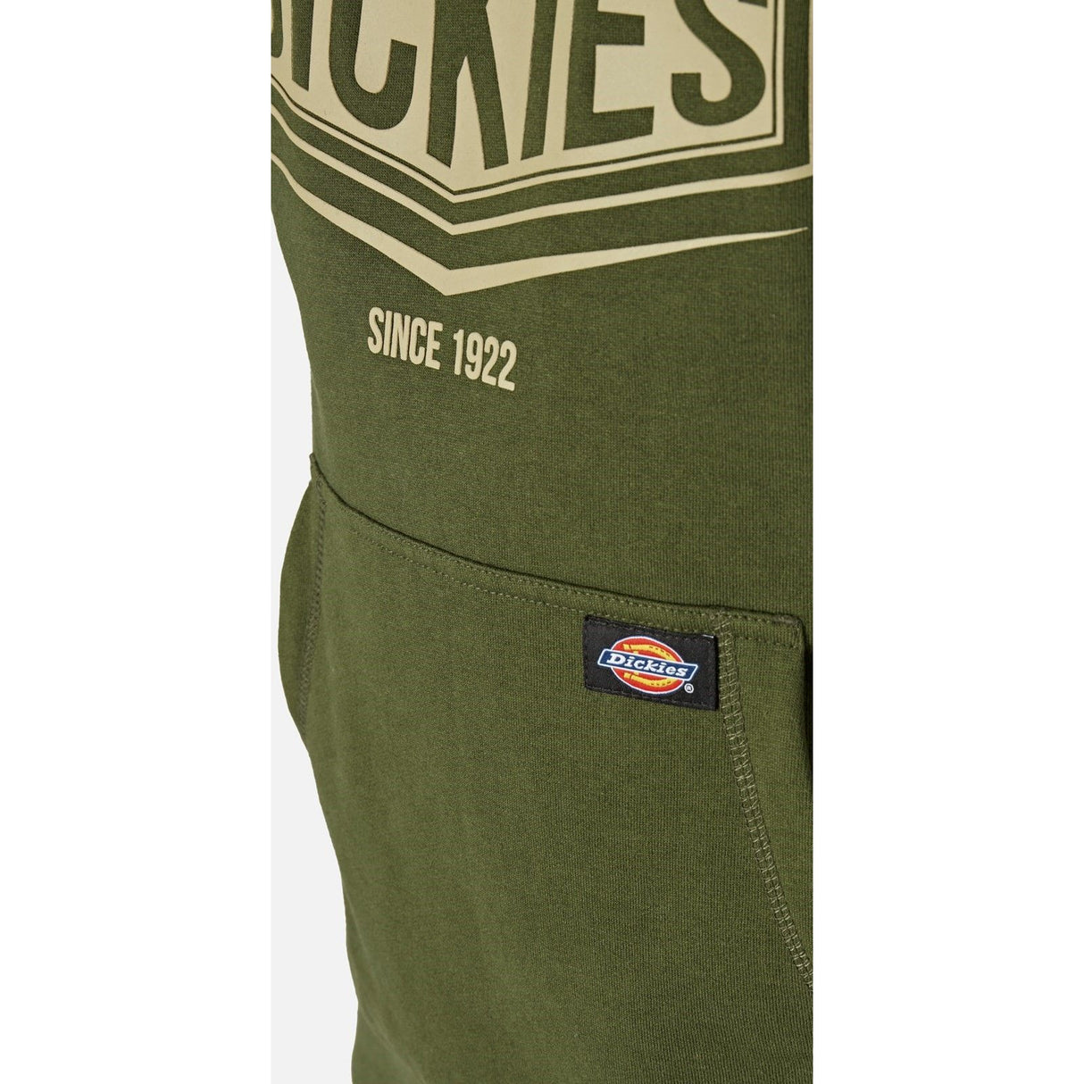 Dickies Rockfield Hoodie - Olive Green (DK0A4XTWOGX1006) - 36236-67598-03 - Dickies - Trade Counter Direct
