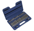 Sealey AK219 TRX - Star/Hex/Spline Bit Set 42pc 3/8in & 1/2in Sq Dr - SLY-5919 - Sealey Tools UK - Trade Counter Direct