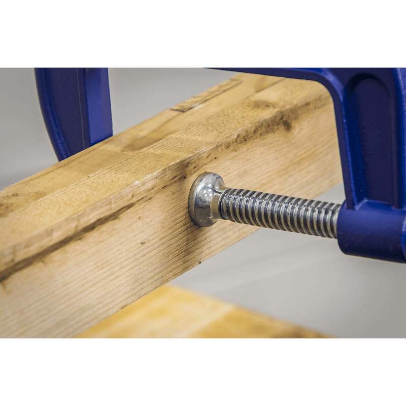 Sealey AK6004 G-Clamp 100mm - AK6004 - Sealey Tools UK - Trade Counter Direct