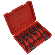Sealey AK6901 Flexi-Head Flare Nut Diesel Injection Wrench Set 6pc 3/8"Sq Drive - AK6901 - Sealey Tools UK - Trade Counter Direct