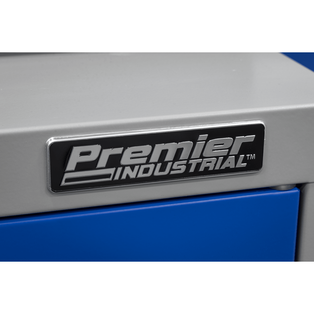 Sealey API5659 Premier Industrial™ Mobile Industrial Cabinet with 1 Shelf - API5659 - Sealey Tools UK - Trade Counter Direct