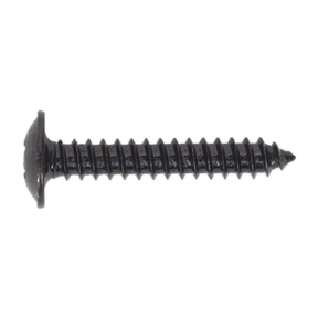 Sealey BST4225 Self Tapping Screw 4.2 x 25mm Flanged Head Black Pozi Pack of 100 - BST4225 - Sealey Tools UK - Trade Counter Direct