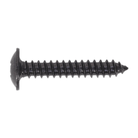 Sealey BST4225 Self Tapping Screw 4.2 x 25mm Flanged Head Black Pozi Pack of 100 - BST4225 - Sealey Tools UK - Trade Counter Direct
