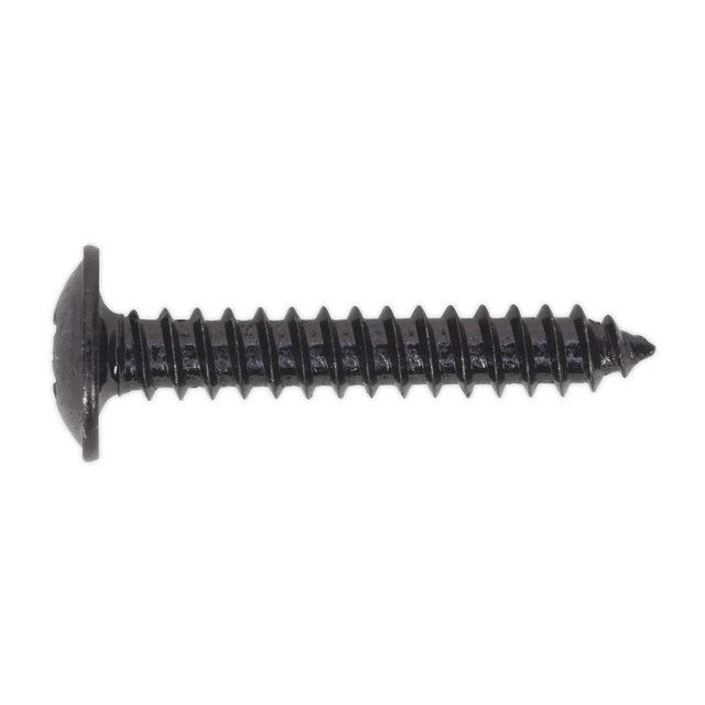 Sealey BST4225 Self Tapping Screw 4.2 x 25mm Flanged Head Black Pozi Pack of 100 - BST4225 - Sealey Tools UK - Trade Counter Direct