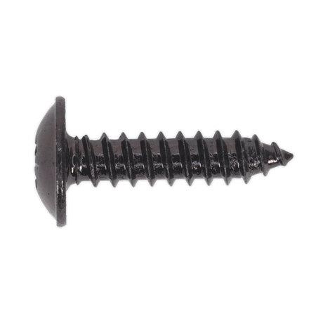 Sealey BST4819 Self Tapping Screw 4.8 x 19mm Flanged Head Black Pozi Pack of 100 - BST4819 - Sealey Tools UK - Trade Counter Direct