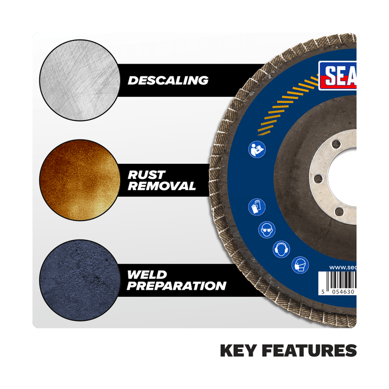Sealey FD10040E 100mm Aluminium Oxide Flap Disc 40Grit 16mm Bore - FD10040E - Sealey Tools UK - Trade Counter Direct