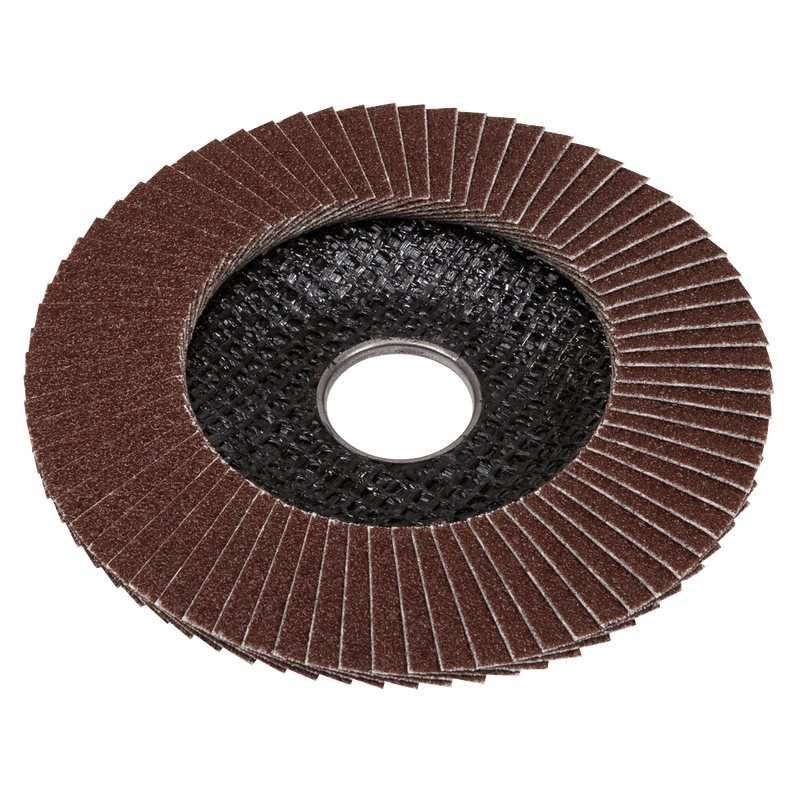 Sealey FD10040E 100mm Aluminium Oxide Flap Disc 40Grit 16mm Bore - FD10040E - Sealey Tools UK - Trade Counter Direct