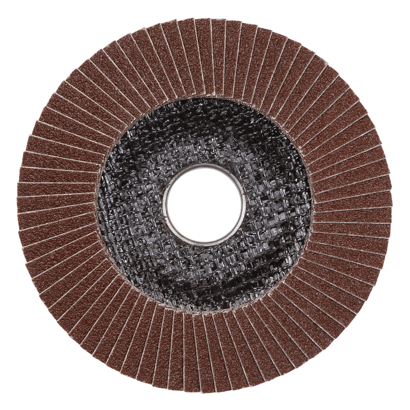 Sealey FD11540E10 115mm Aluminium Oxide Flap Discs 40Grit 22mm Bore - Pack of 10 - FD11540E10 - Sealey Tools UK - Trade Counter Direct