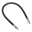 Sealey GGH450 Rubber Delivery Hose Flexible 450mm 1/8"BSP - GGH450 - Sealey Tools UK - Trade Counter Direct