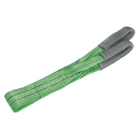 Sealey LS2001 Load Sling 2tonne Capacity 1m - LS2001 - Sealey Tools UK - Trade Counter Direct