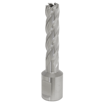 Sealey RBHSS12L Worksafe® 12mm HSS Mag Drill Bit Cut Depth 50mm - RBHSS12L - Sealey Tools UK - Trade Counter Direct