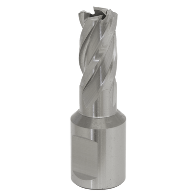 Sealey RBHSS12S Worksafe® 12mm HSS Mag Drill Bit Cut Depth 25mm - RBHSS12S - Sealey Tools UK - Trade Counter Direct