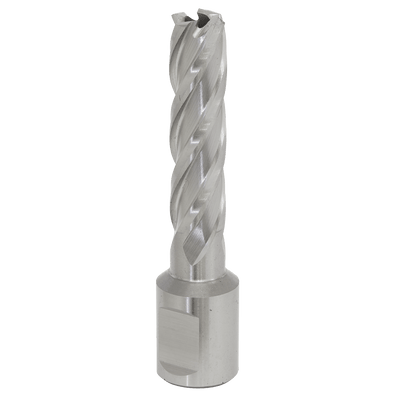 Sealey RBHSS13L Worksafe® 13mm HSS Mag Drill Bit Cut Depth 50mm - RBHSS13L - Sealey Tools UK - Trade Counter Direct