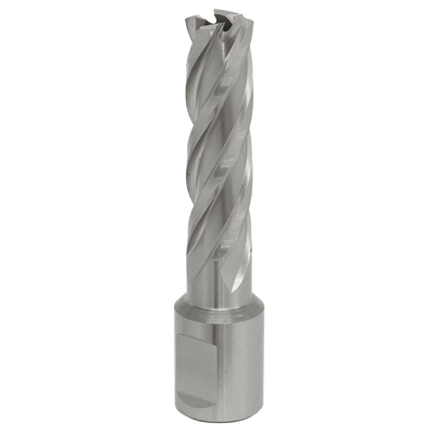 Sealey RBHSS14L Worksafe® 14mm HSS Mag Drill Bit Cut Depth 50mm - RBHSS14L - Sealey Tools UK - Trade Counter Direct