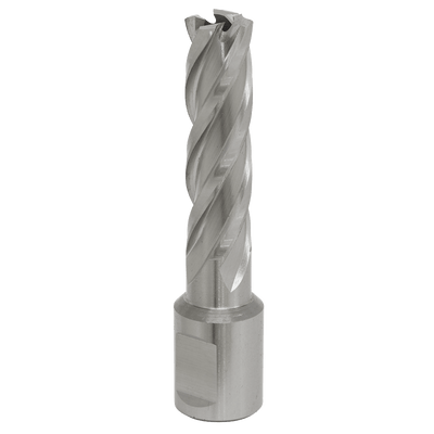 Sealey RBHSS15L Worksafe® 15mm HSS Mag Drill Bit Cut Depth 50mm - RBHSS15L - Sealey Tools UK - Trade Counter Direct