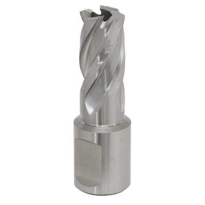 Sealey RBHSS15S Worksafe® 15mm HSS Mag Drill Bit Cut Depth 25mm - RBHSS15S - Sealey Tools UK - Trade Counter Direct