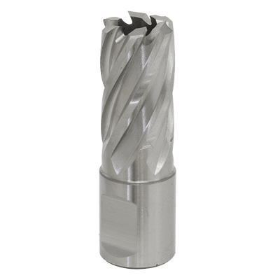 Sealey RBHSS17S Worksafe® 17mm HSS Mag Drill Bit Cut Depth 25mm - RBHSS17S - Sealey Tools UK - Trade Counter Direct