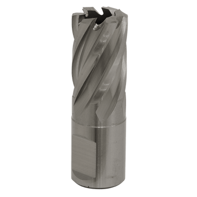 Sealey RBHSS19S Worksafe® 19mm HSS Mag Drill Bit Cut Depth 25mm - RBHSS19S - Sealey Tools UK - Trade Counter Direct