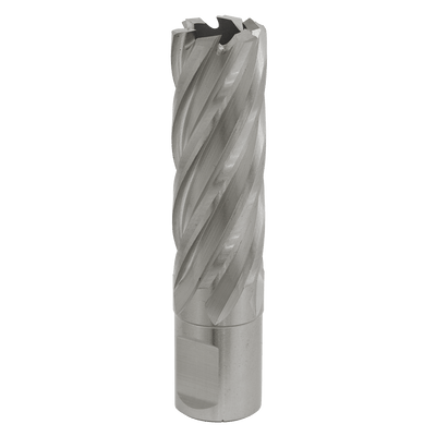 Sealey RBHSS20L Worksafe® 20mm HSS Mag Drill Bit Cut Depth 50mm - RBHSS20L - Sealey Tools UK - Trade Counter Direct