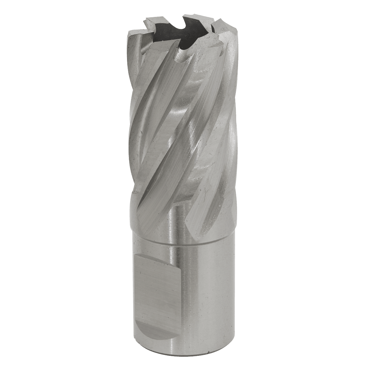 Sealey RBHSS20S Rotabor Cutter HSS Ø20mm - Cut Depth 25mm - RBHSS20S - Sealey Tools UK - Trade Counter Direct