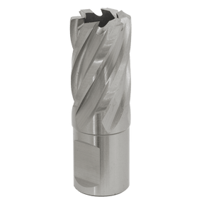 Sealey RBHSS20S Rotabor Cutter HSS Ø20mm - Cut Depth 25mm - RBHSS20S - Sealey Tools UK - Trade Counter Direct