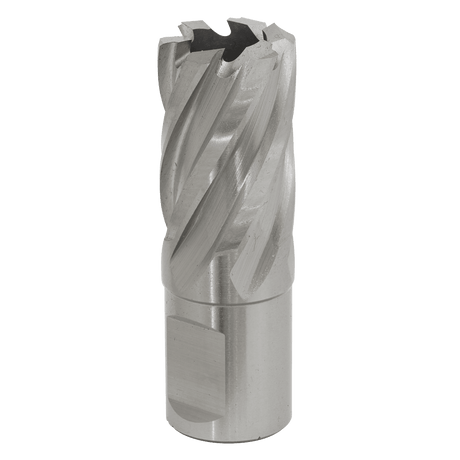 Sealey RBHSS20S Rotabor Cutter HSS Ø20mm - Cut Depth 25mm - RBHSS20S - Sealey Tools UK - Trade Counter Direct