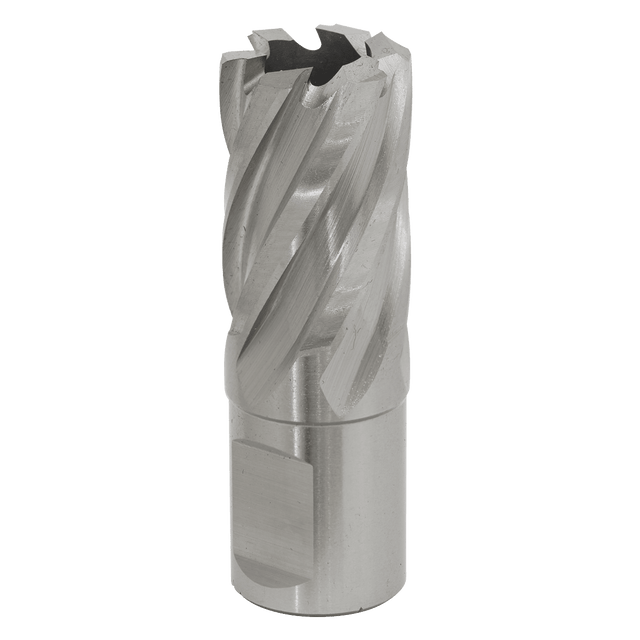 Sealey RBHSS20S Rotabor Cutter HSS Ø20mm - Cut Depth 25mm - RBHSS20S - Sealey Tools UK - Trade Counter Direct