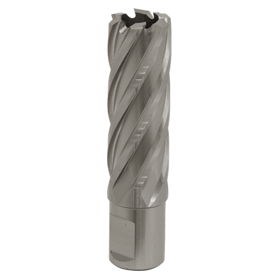 Sealey RBHSS21L Worksafe® 21mm HSS Mag Drill Bit Cut Depth 50mm - RBHSS21L - Sealey Tools UK - Trade Counter Direct