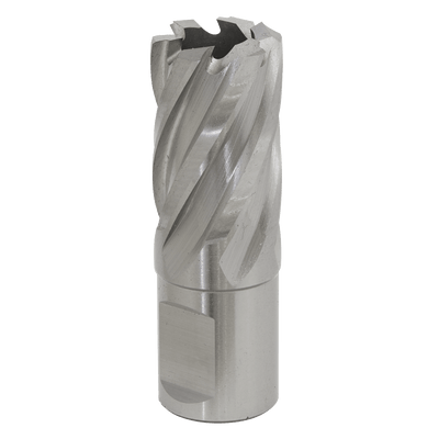 Sealey RBHSS21S Worksafe® 21mm HSS Mag Drill Bit Cut Depth 25mm - RBHSS21S - Sealey Tools UK - Trade Counter Direct