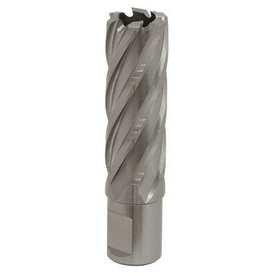 Sealey RBHSS22L Worksafe® 22mm HSS Mag Drill Bit Cut Depth 50mm - RBHSS22L - Sealey Tools UK - Trade Counter Direct