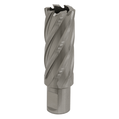 Sealey RBHSS24L Worksafe® 24mm HSS Mag Drill Bit Cut Depth 50mm - RBHSS24L - Sealey Tools UK - Trade Counter Direct