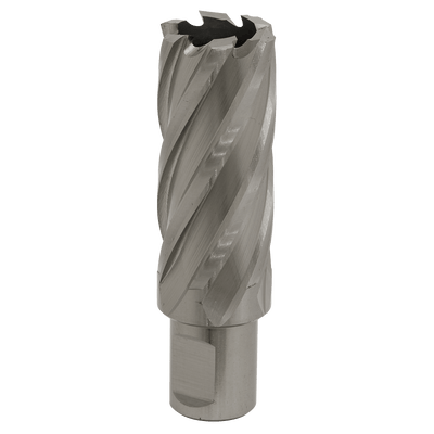 Sealey RBHSS25L Worksafe® 25mm HSS Mag Drill Bit Cut Depth 50mm - RBHSS25L - Sealey Tools UK - Trade Counter Direct