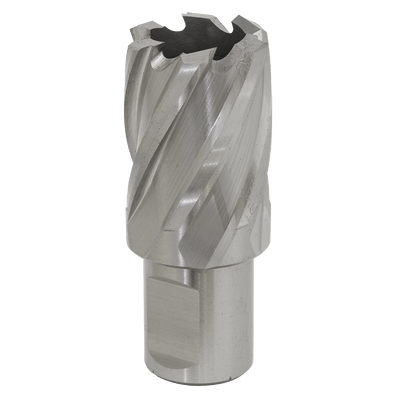 Sealey RBHSS25S Worksafe® 25mm HSS Mag Drill Bit Cut Depth 25mm - RBHSS25S - Sealey Tools UK - Trade Counter Direct