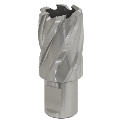 Sealey RBHSS26S Worksafe® 26mm HSS Mag Drill Bit Cut Depth 25mm - RBHSS26S - Sealey Tools UK - Trade Counter Direct