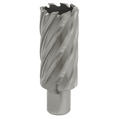Sealey RBHSS29L Worksafe® 29mm HSS Mag Drill Bit Cut Depth 50mm - RBHSS29L - Sealey Tools UK - Trade Counter Direct
