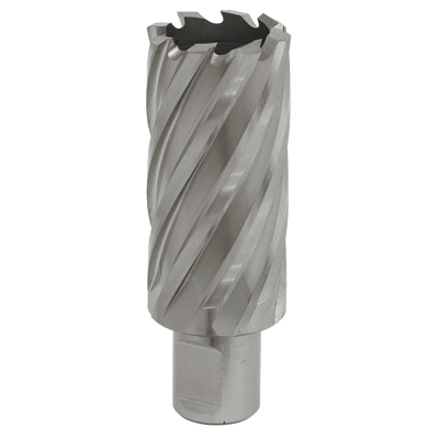 Sealey RBHSS30L Worksafe® 30mm HSS Mag Drill Bit Cut Depth 50mm - RBHSS30L - Sealey Tools UK - Trade Counter Direct