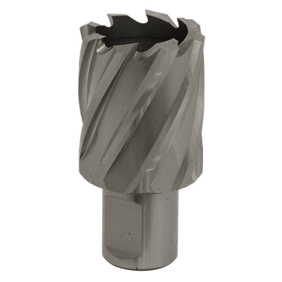 Sealey RBHSS32S Worksafe® 32mm HSS Mag Drill Bit Cut Depth 25mm - RBHSS32S - Sealey Tools UK - Trade Counter Direct
