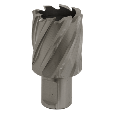 Sealey RBHSS33S Worksafe® 33mm HSS Mag Drill Bit Cut Depth 25mm - RBHSS33S - Sealey Tools UK - Trade Counter Direct