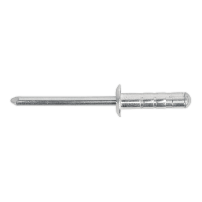 Sealey RM4819S Aluminium Multi - Grip Rivet Standard Flange 4.8 x 19mm Pack of 200 - RM4819S - Sealey Tools UK - Trade Counter Direct