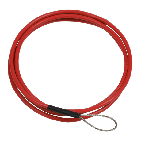 Sealey RT1 Wire Guide Tool - RT1 - Sealey Tools UK - Trade Counter Direct