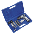 Sealey SA12/S Air Hammer Kit with Chisels Medium Stroke - SA12/S - Sealey Tools UK - Trade Counter Direct
