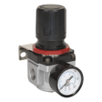 Sealey SA4001R Air Regulator - High Flow - SA4001R - Sealey Tools UK - Trade Counter Direct