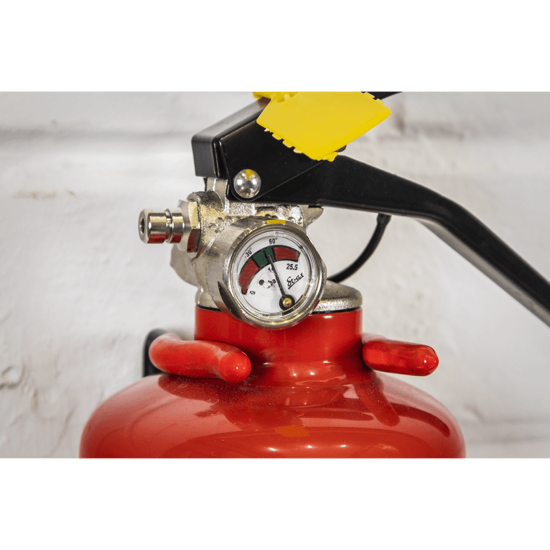 Sealey SDPE01 Dry Powder Fire Extinguisher 1kg - SDPE01 - Sealey Tools UK - Trade Counter Direct