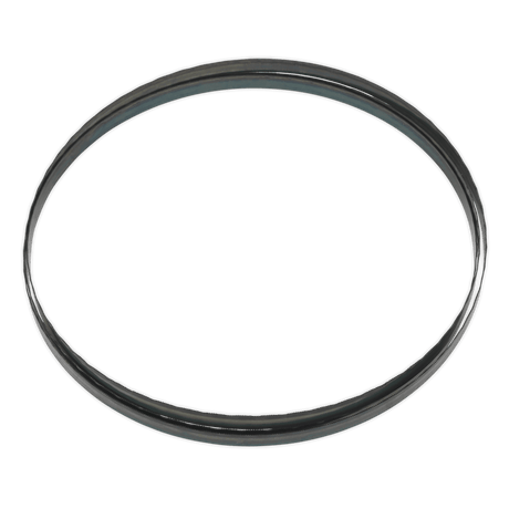 Sealey SM1306B24 Bandsaw Blade 2400 x 12 x 0.6mm 24tpi - SM1306B24 - Sealey Tools UK - Trade Counter Direct