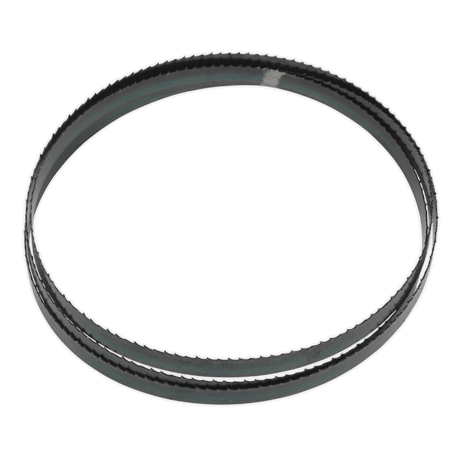 Sealey SM5/113/6 Bandsaw Blade 1638 x 13 x 0.63mm 6tpi - SM5/113/6 - Sealey Tools UK - Trade Counter Direct