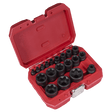 Sealey SX097 External TRX-P* Socket Set 19pc - SX097 - Sealey Tools UK - Trade Counter Direct